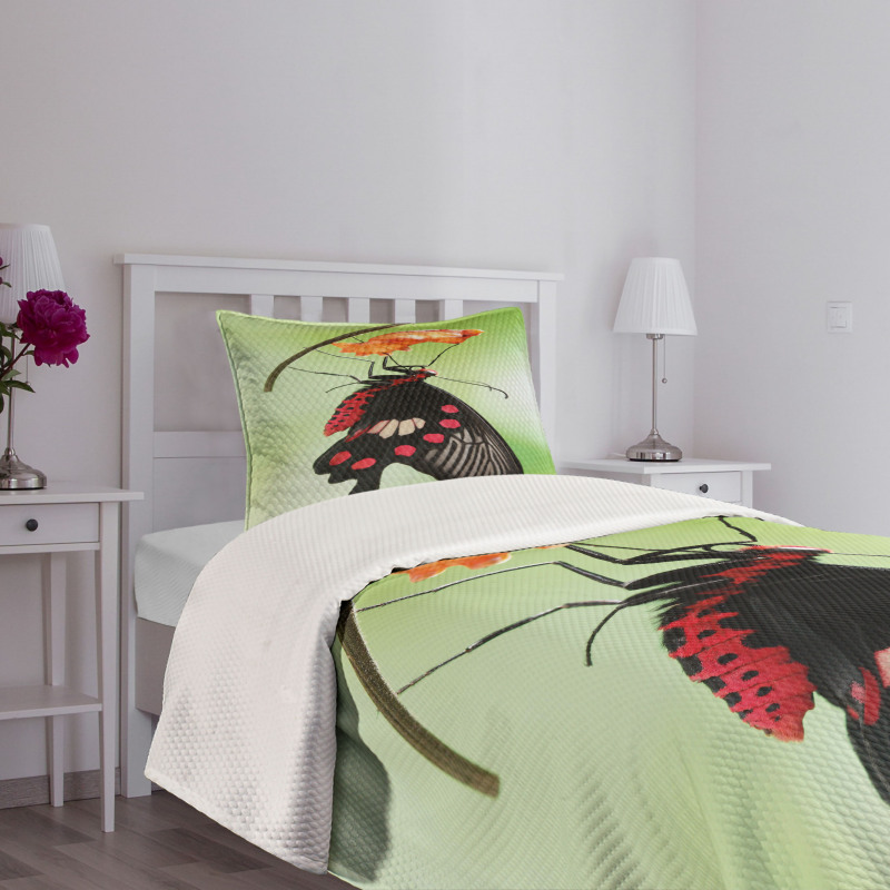 Open Cocoon Bedspread Set