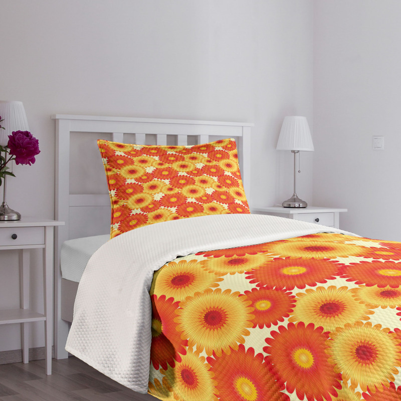 Gerbera Petals Graphic Bedspread Set