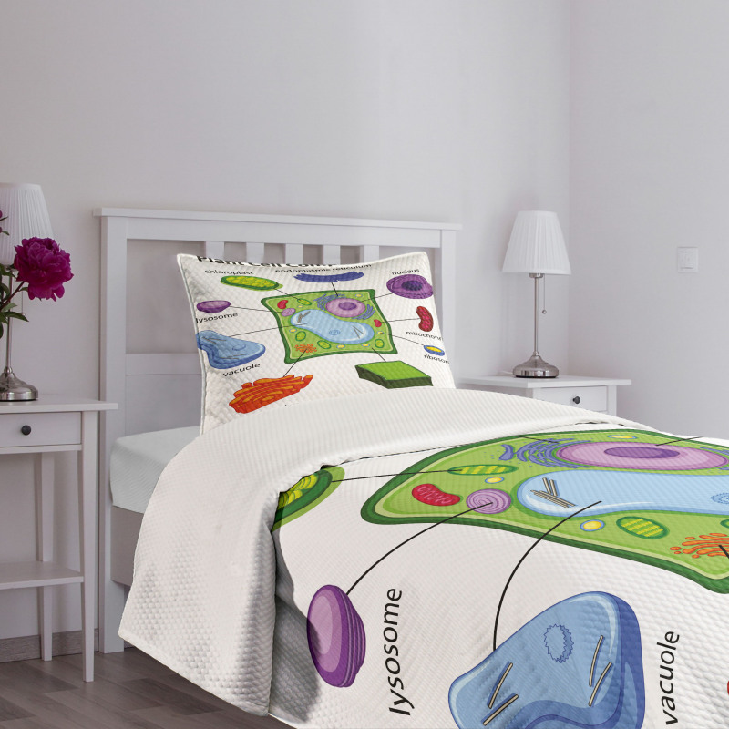 Cartoon Science Bedspread Set