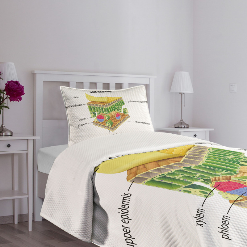 Leaf Names Theme Bedspread Set