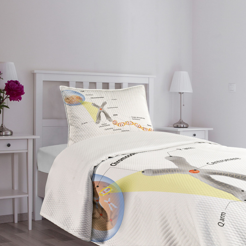 DNA Gene Genome Bedspread Set