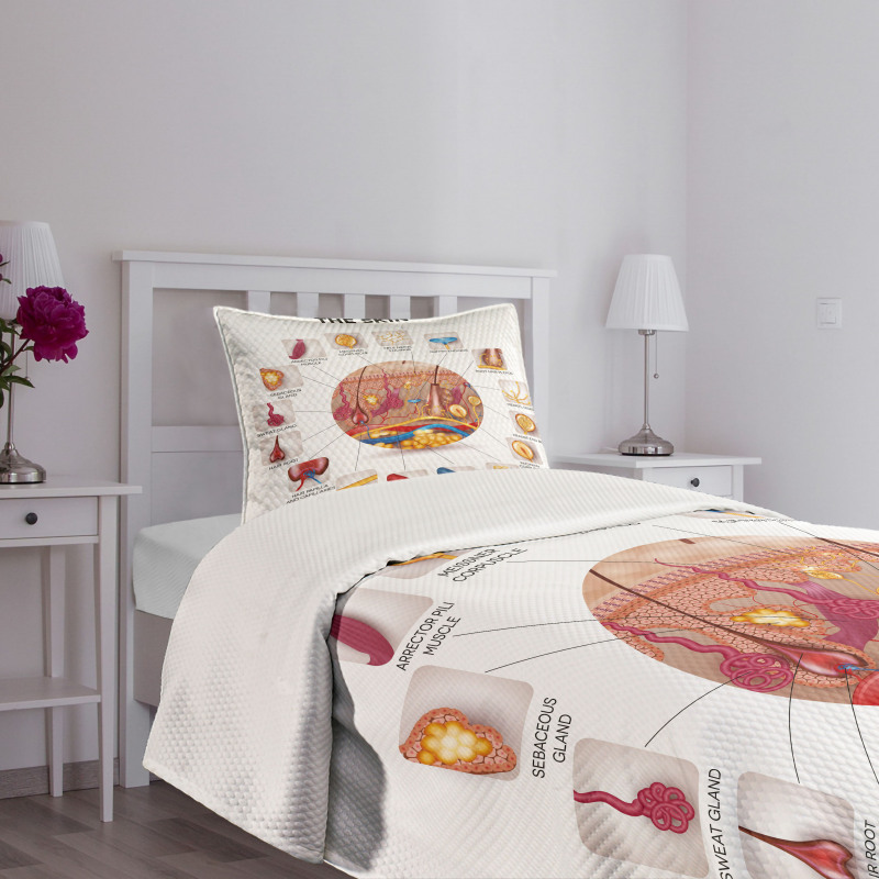 Skin Anatomy Veins Bedspread Set