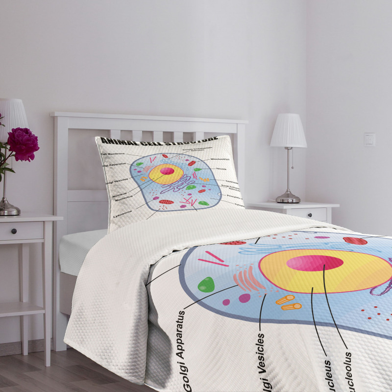 Animal Cell Study Bedspread Set