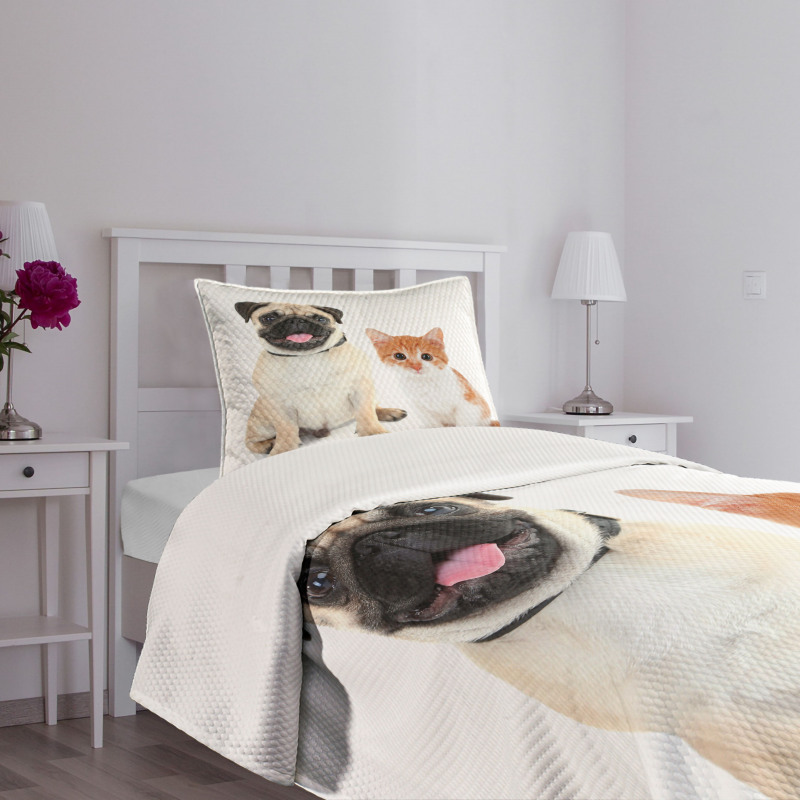 Kitten and Puppy Photo Bedspread Set