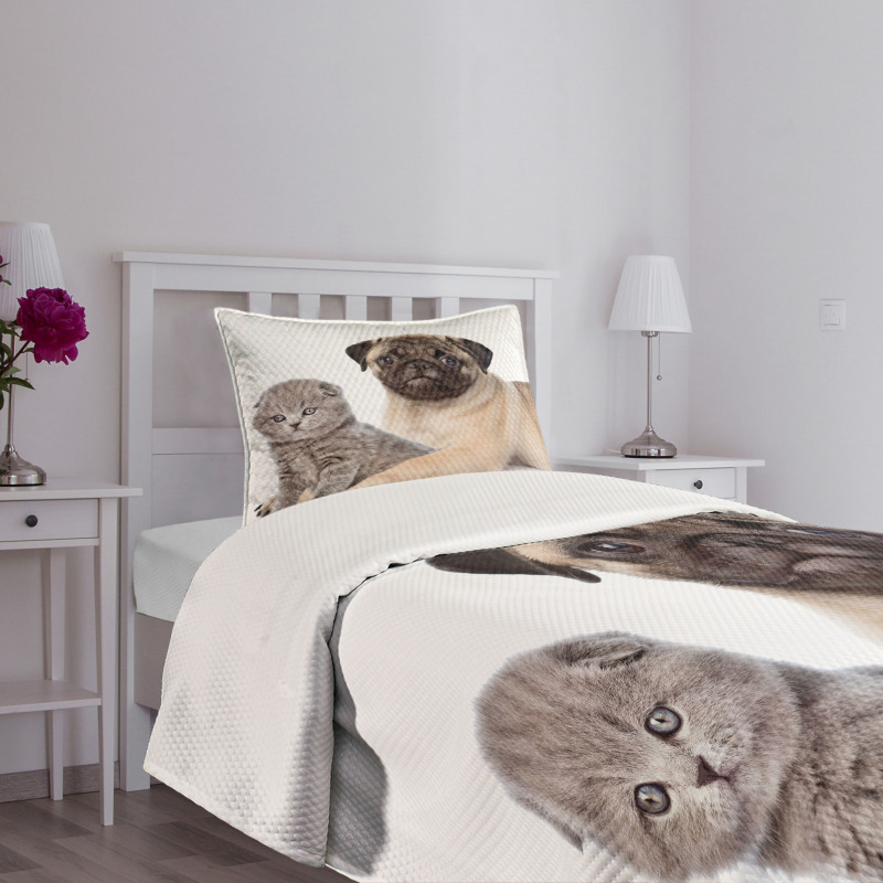 Young Puppy and Kitten Bedspread Set