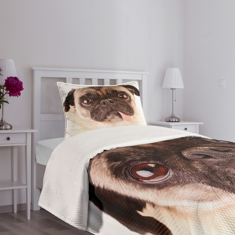 Upset Dog Sad Eyed Pet Bedspread Set