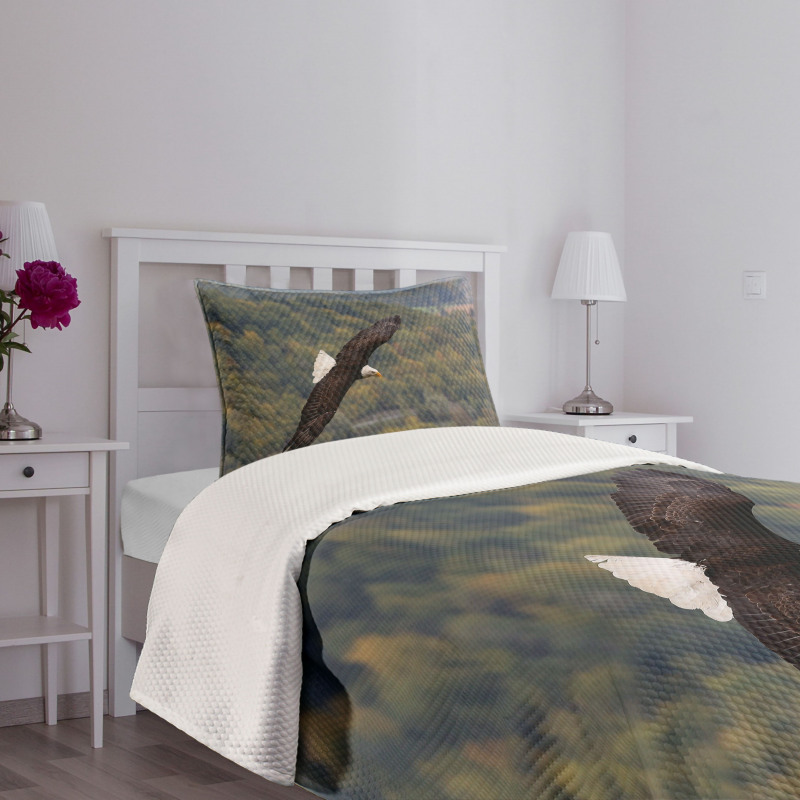 King of Skies Fly Forest Bedspread Set