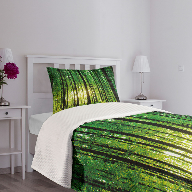 Green Woodland Sunrise Bedspread Set