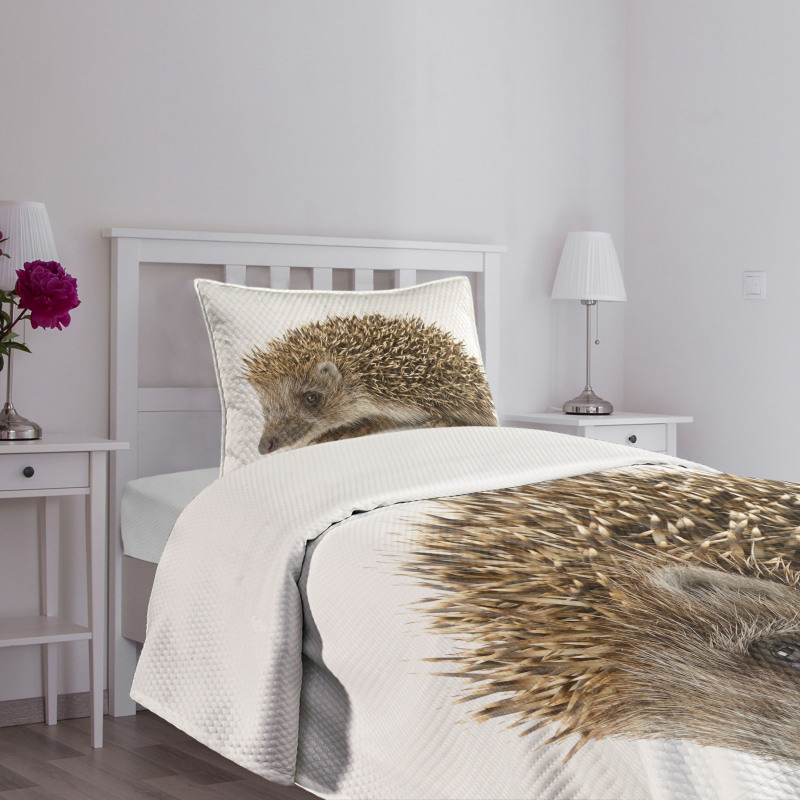 Small Mammal Bedspread Set