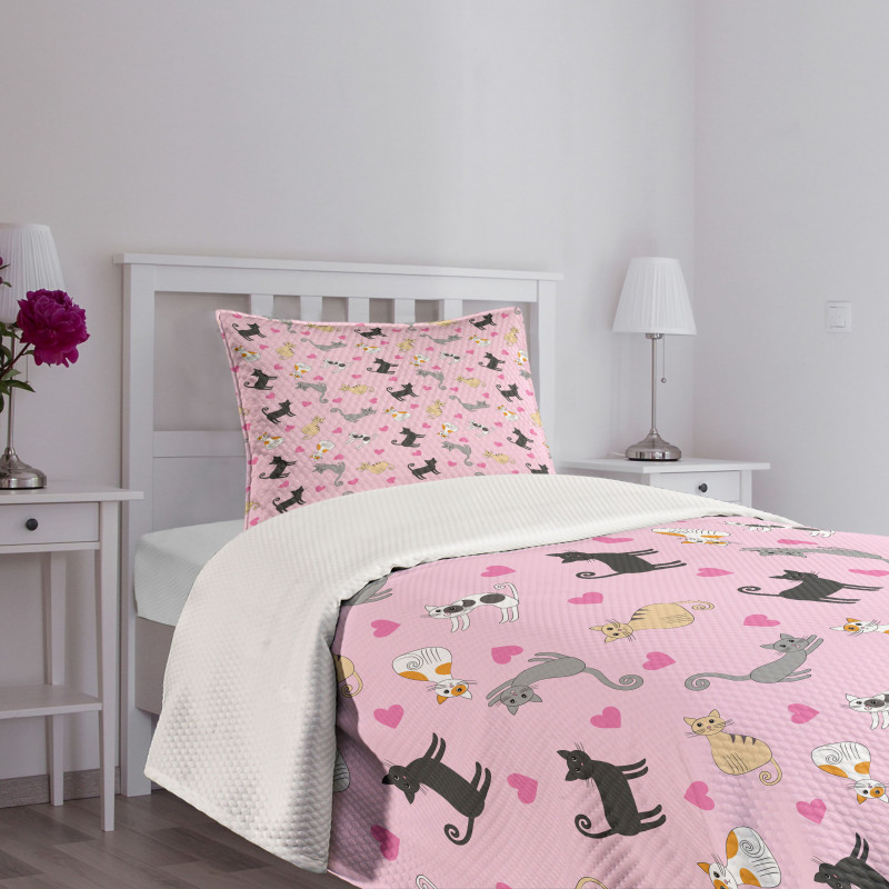 Colorful Different Cats Bedspread Set