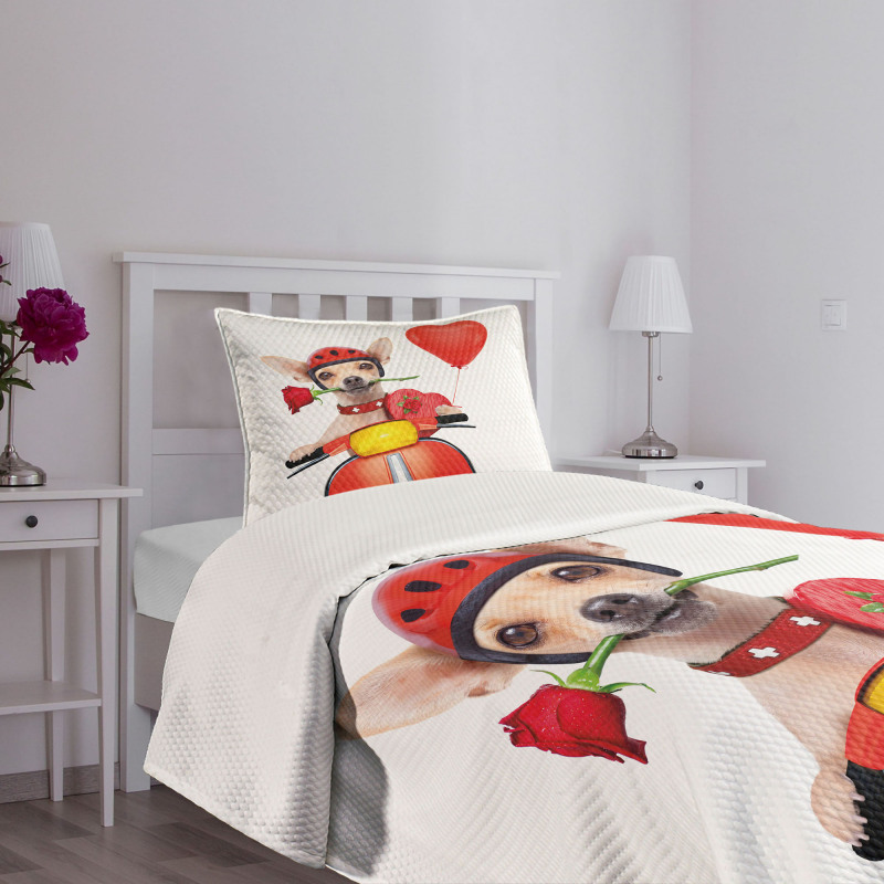 Romantic Chihuahua Bedspread Set