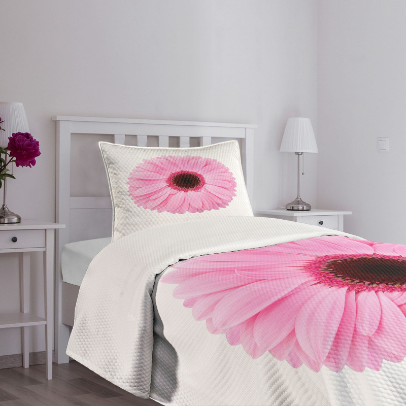 Gerber Daisy Bedspread Set