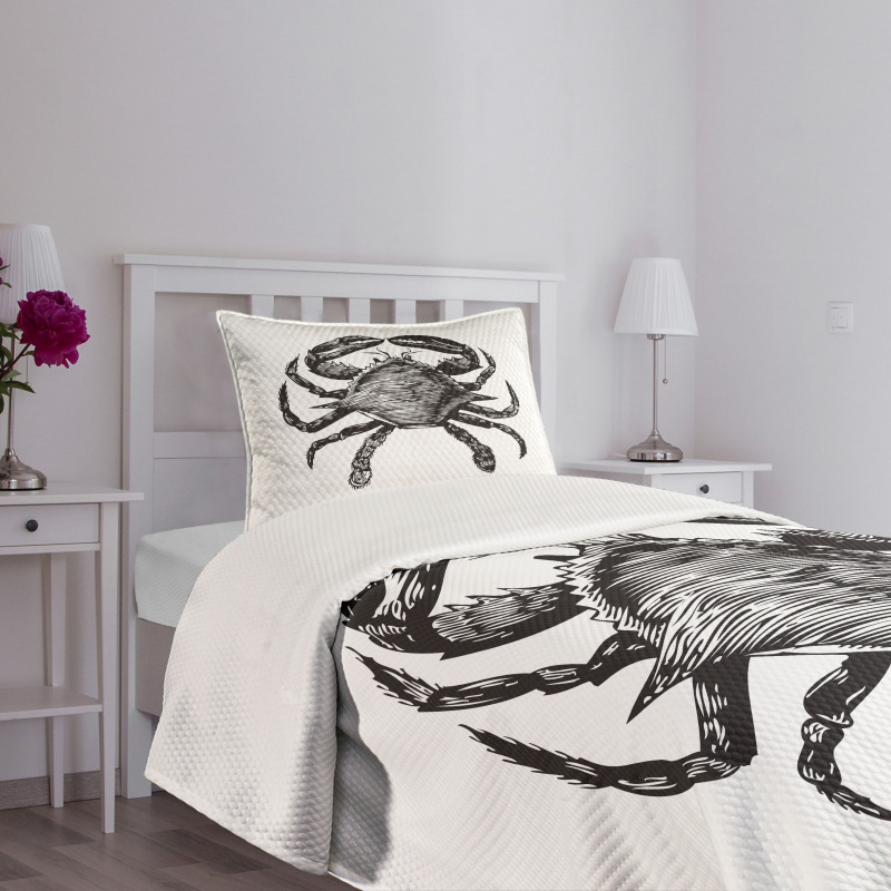 Crustacean Family Artwork Bedspread Set