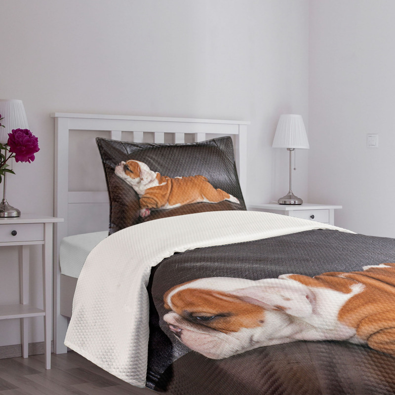 Resting Puppy Bedspread Set