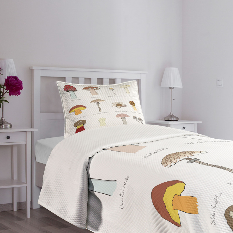 Blusher Boletus Sketch Bedspread Set