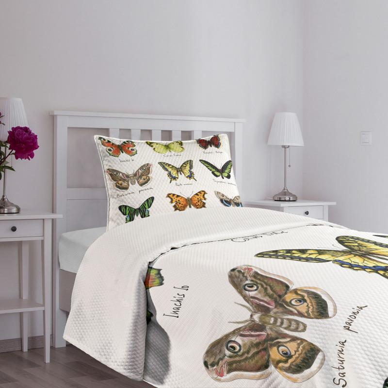 Spring Bugs Pattern Bedspread Set