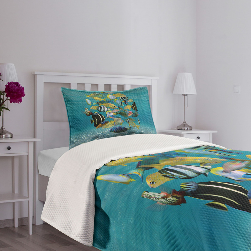 Shoal of Fish Underwater Bedspread Set