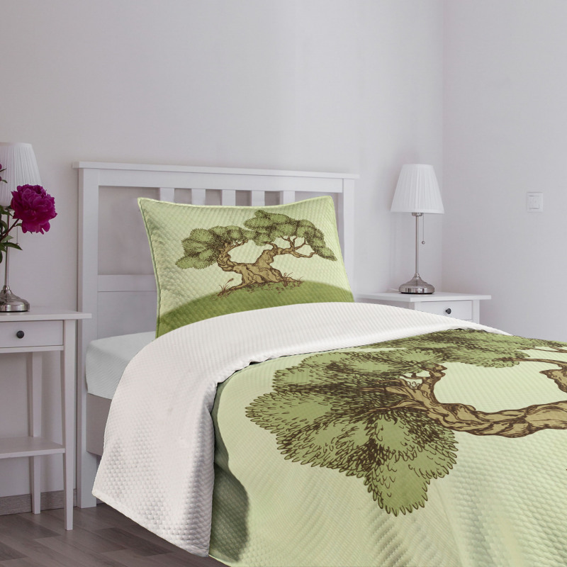 Spring Season Hills Olive Bedspread Set