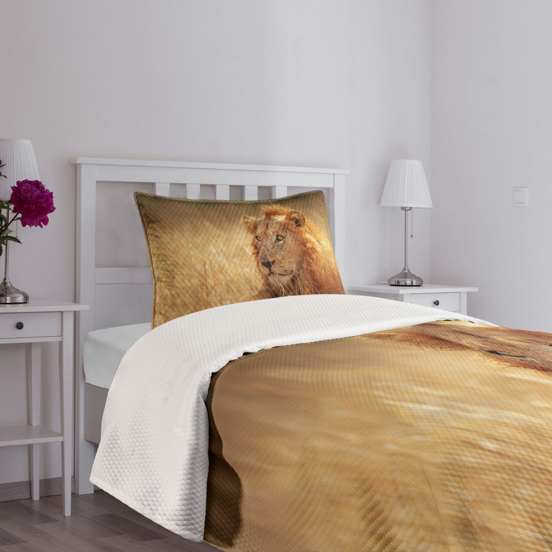 Male Lion Grass Field Bedspread Set