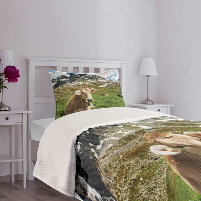 Alpine Mountain Milk Cow Bedspread Set