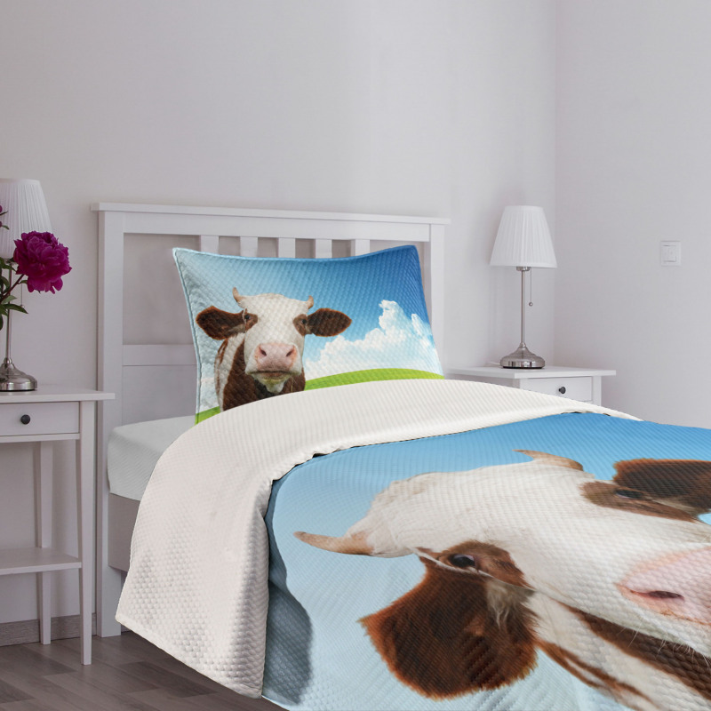Staring Brown Animal Bedspread Set