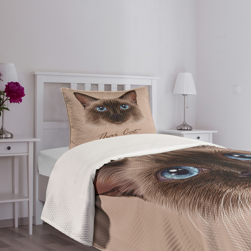 Domestic Animal Siamese Cat Bedspread Set