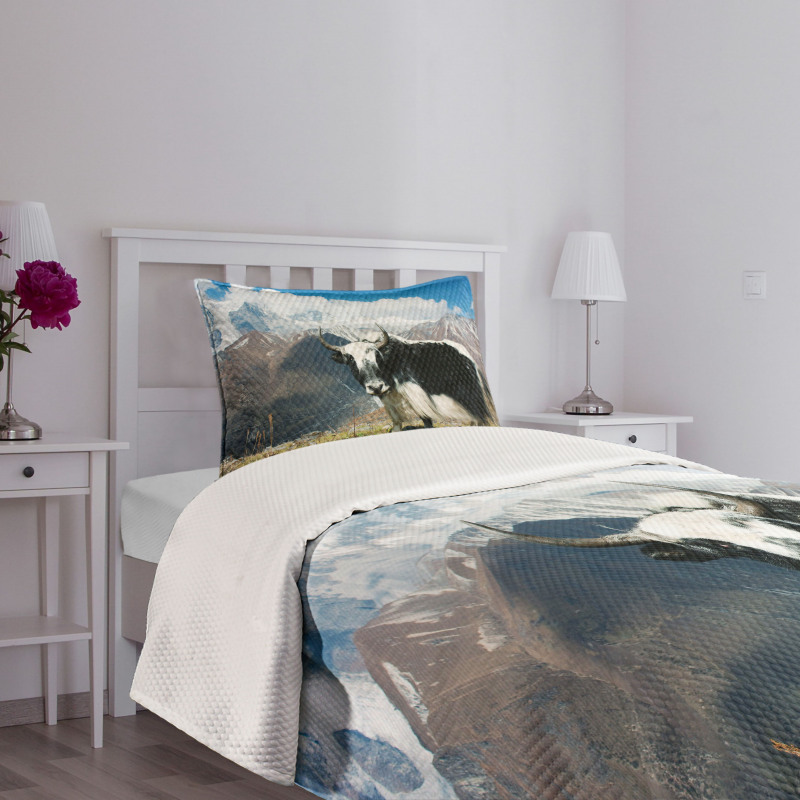 Bull Rural Mountains Bedspread Set