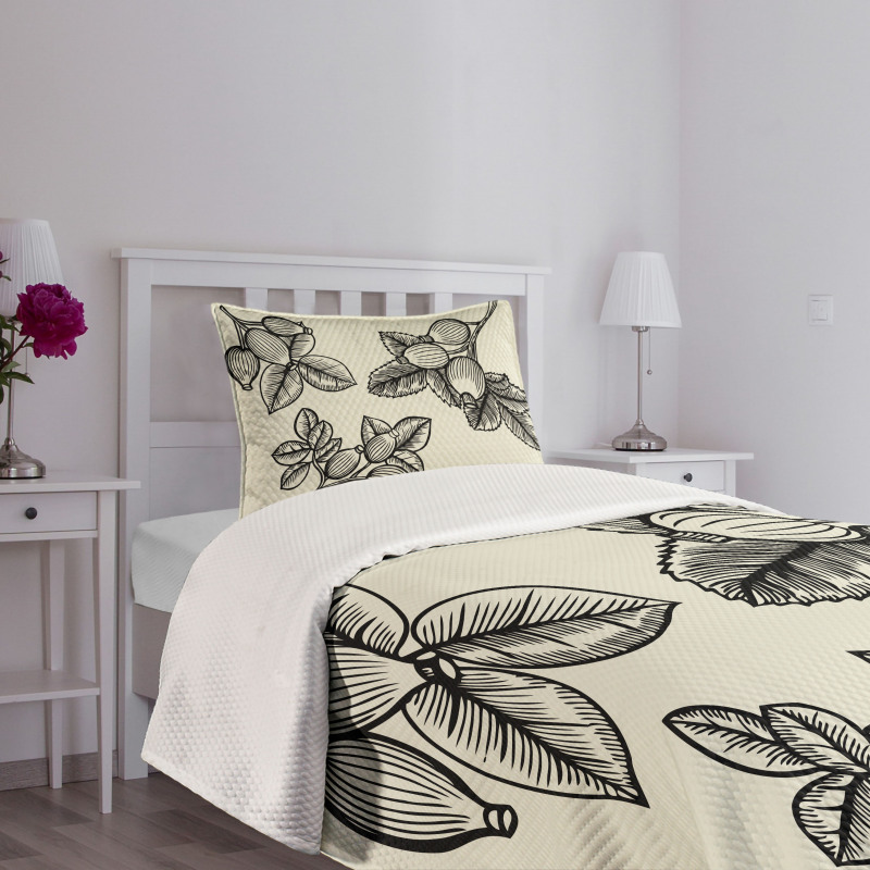 Rosa Canina Sketch Bedspread Set