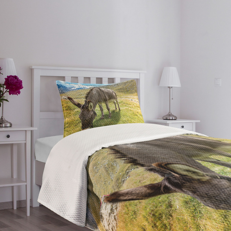 Donkey Eating Grass Mountain Bedspread Set