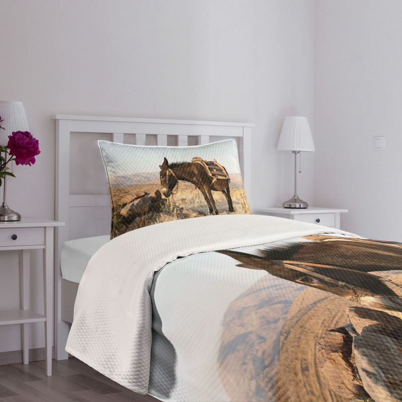 Greek Donkey in Mountains Bedspread Set