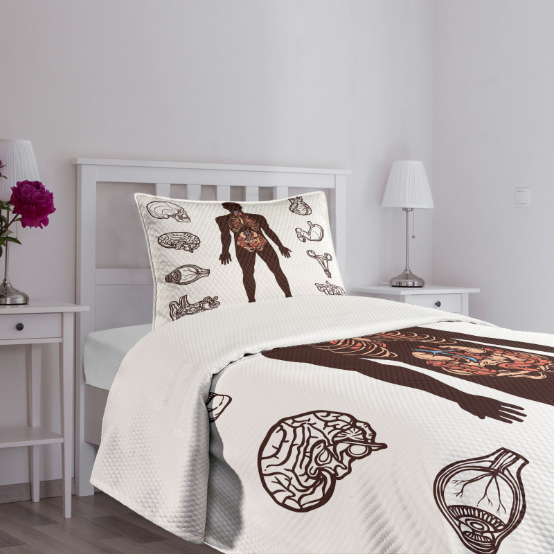 Organs Infographic Image Bedspread Set