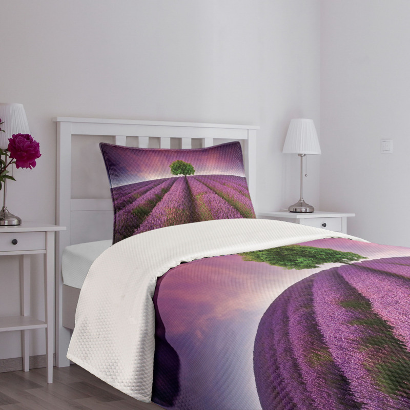 Lavender Fields and Tree Bedspread Set