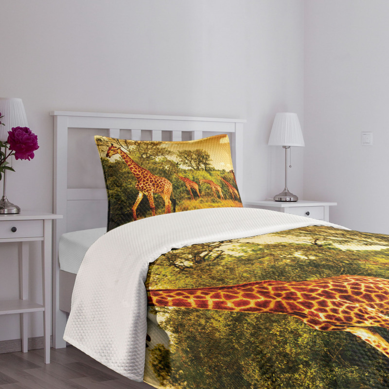 Safari Animals Bedspread Set