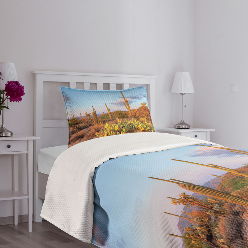 Cacti in Sonoran Desert Bedspread Set