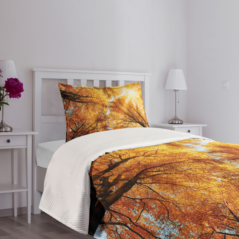 Autumn Sunbeams Forest Bedspread Set