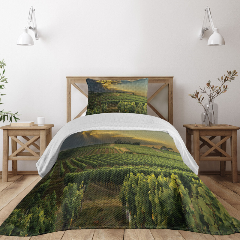 France Sunset Vineyard Bedspread Set