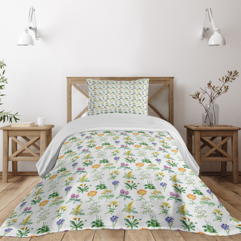Organic Herbs Sketch Bedspread Set