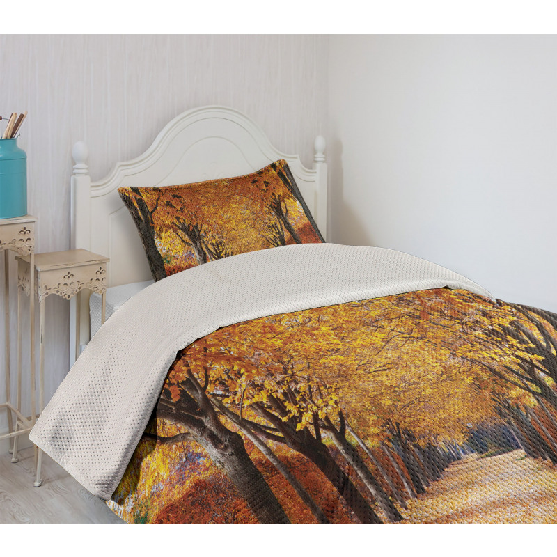 Pathway in the Woods Bedspread Set