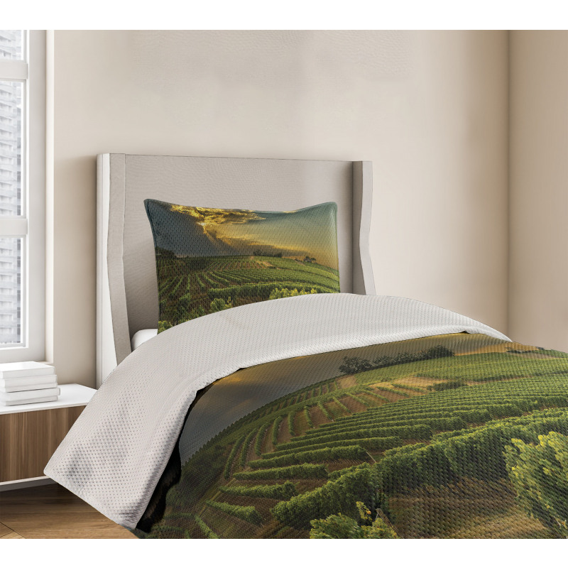 France Sunset Vineyard Bedspread Set