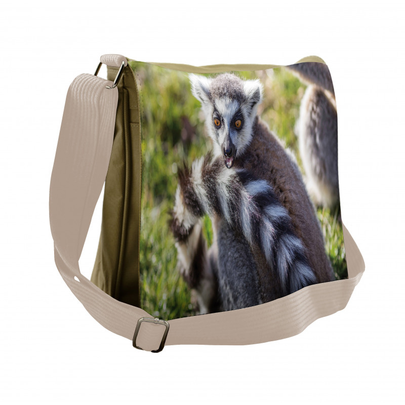 Ring Tailed Funny Expression Messenger Bag