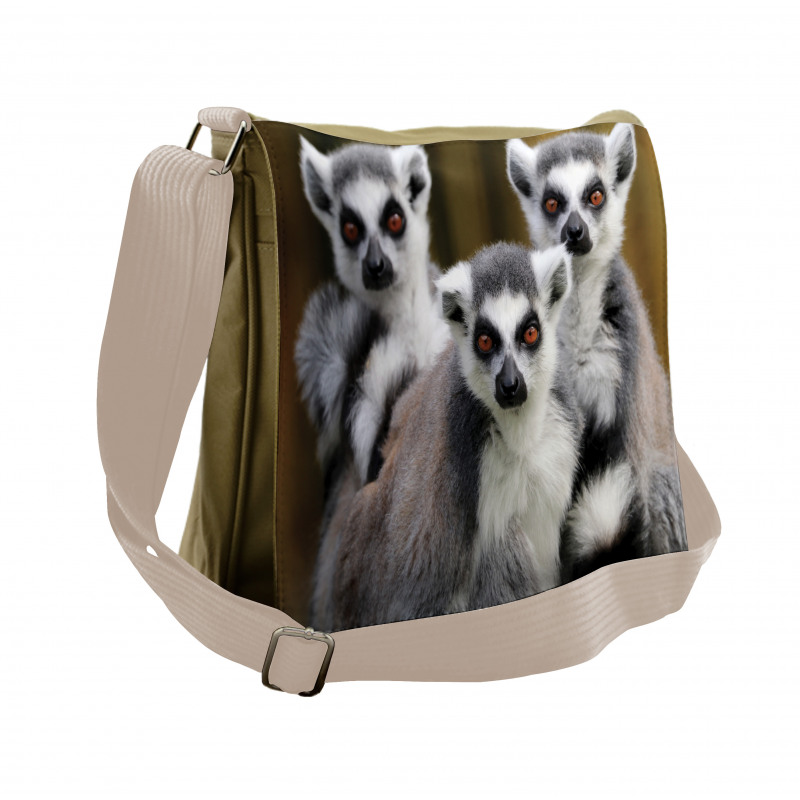 Ring Tailed Monkey Animals Messenger Bag