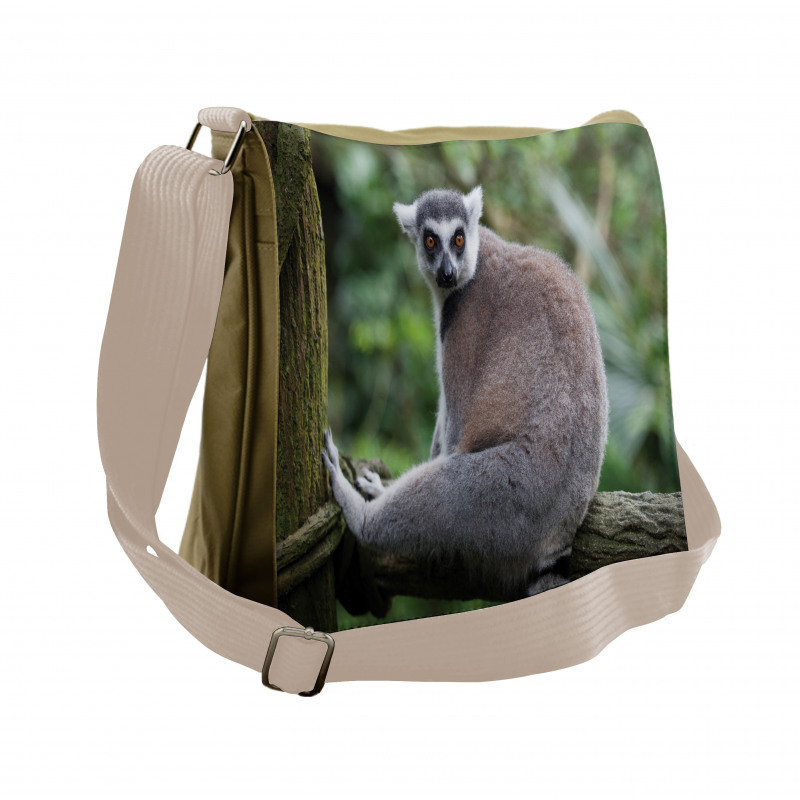 Photo of Madagascar Mammal Messenger Bag