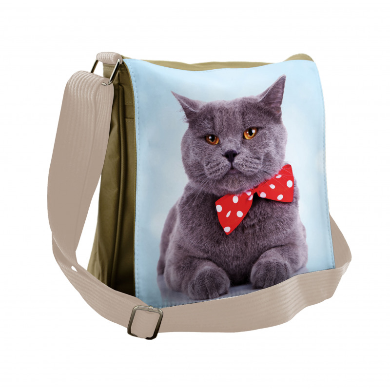 Grey Scottish Fold Theme Messenger Bag
