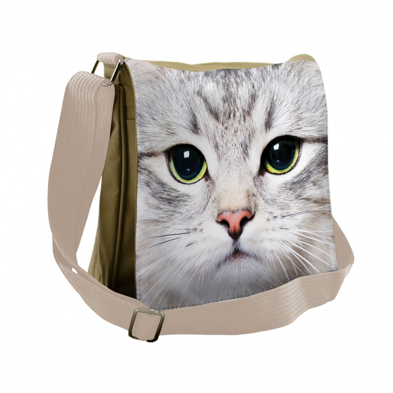Face of a Domestic Kitty Messenger Bag