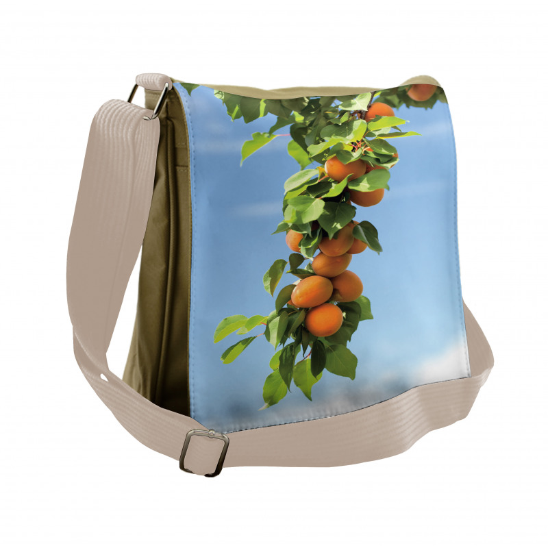 Succulent Apricots on Tree Messenger Bag