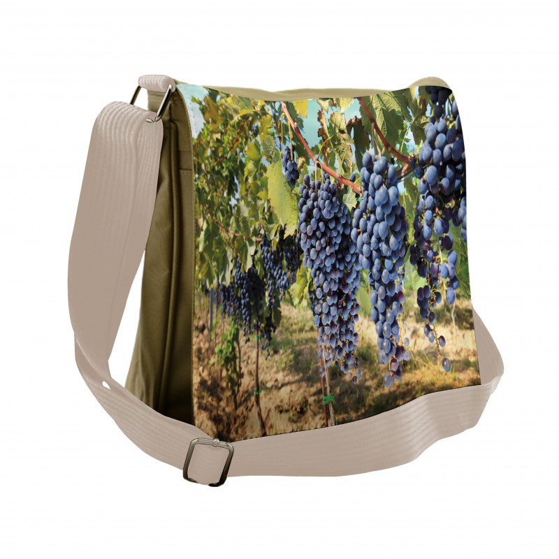 Rows of Wine Fruits in Italy Messenger Bag