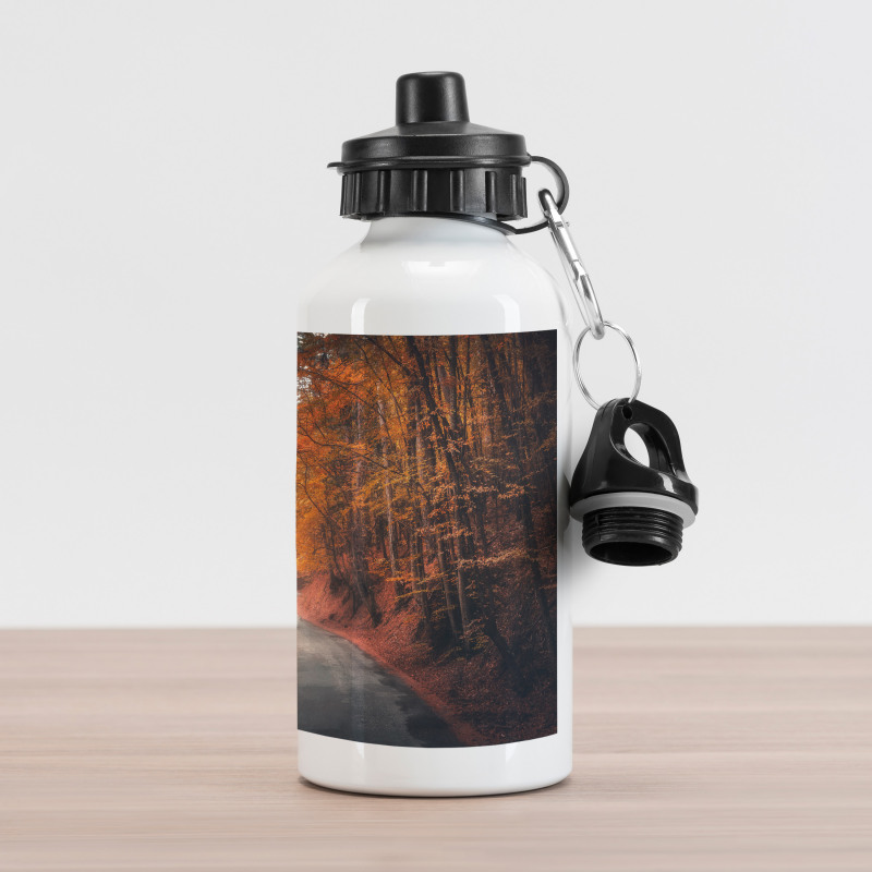 Pathway into Forest Foliage Aluminum Water Bottle