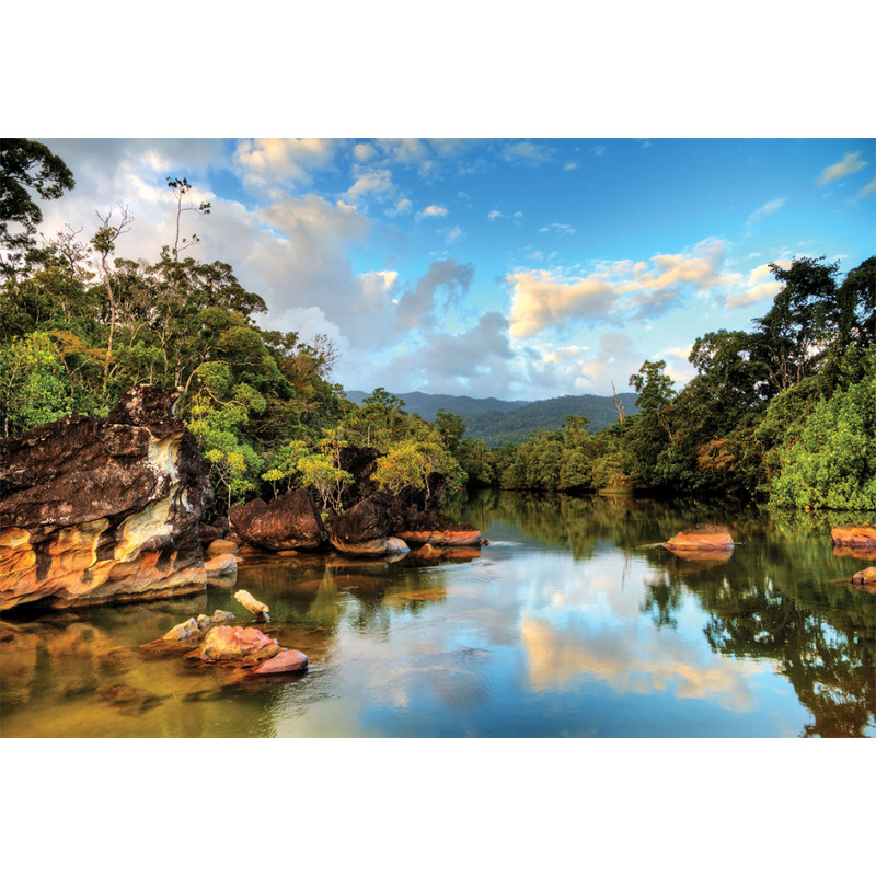 View of Jungle River Aluminum Water Bottle