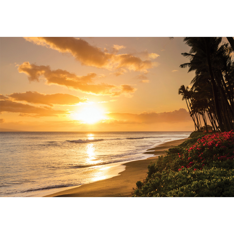 Sunset on Sands Beach Aluminum Water Bottle