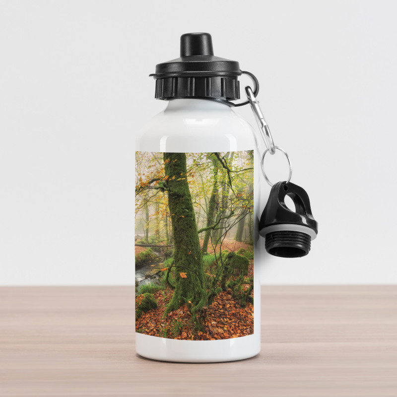 Misty Woods Cornwall Aluminum Water Bottle